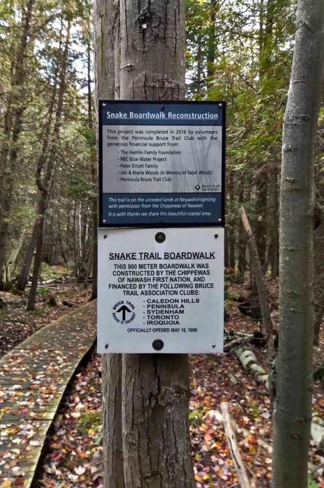 Snake Trail Boardwalk
